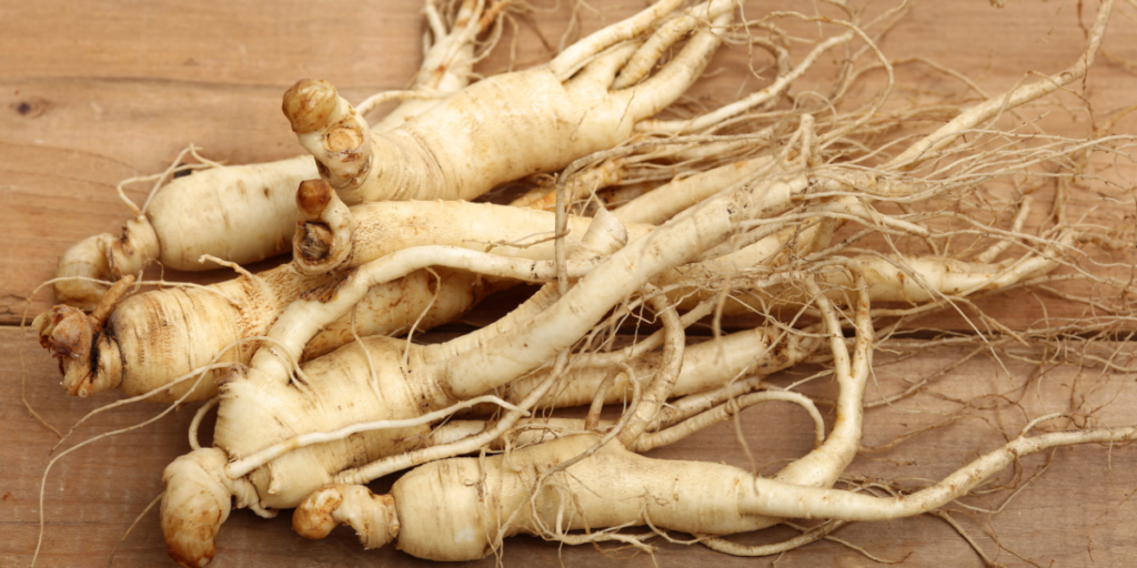 beneficios del gingseng