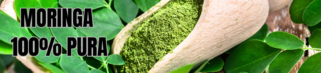 banner moringa